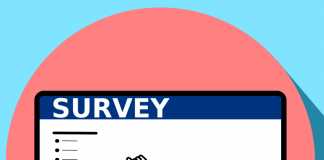 survey en pantalla de un ordenador dibujado