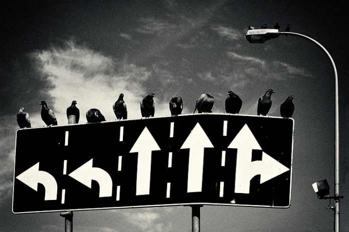 palomas encima de unas señales de direccion de una ciudad