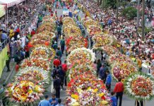 grupo de personas en la feria de flores de medellin desfile de silleteros